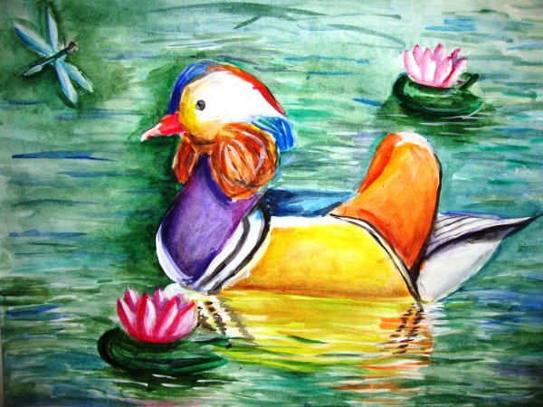 Рисунок утки мандаринки