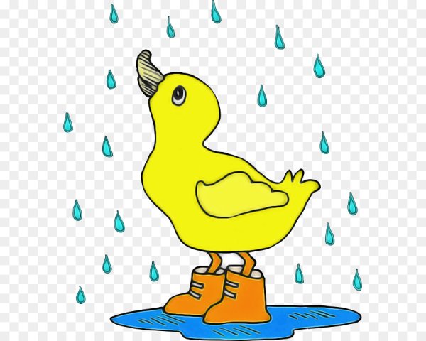 Цыпленок в луже