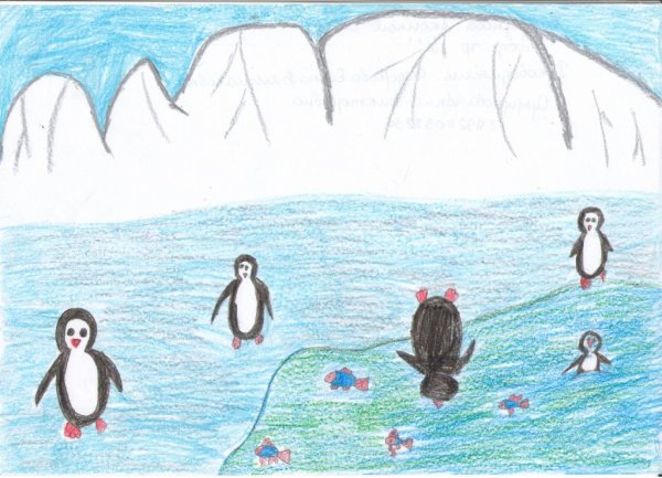 Антарктида рисунок