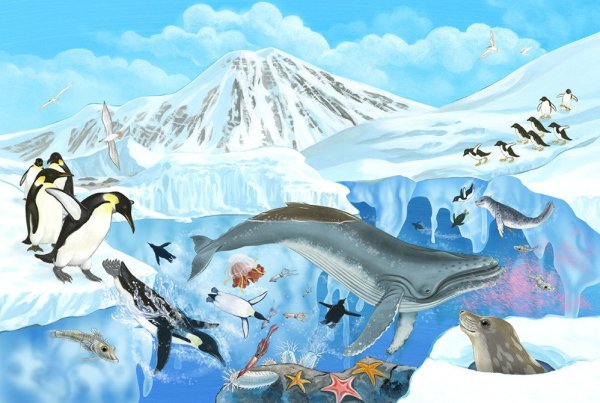 Чевостик Арктика Антарктика