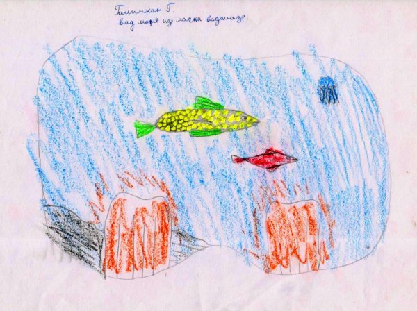 Рисунки учащихся 4 класса