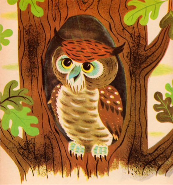 Рисование Совы для детей