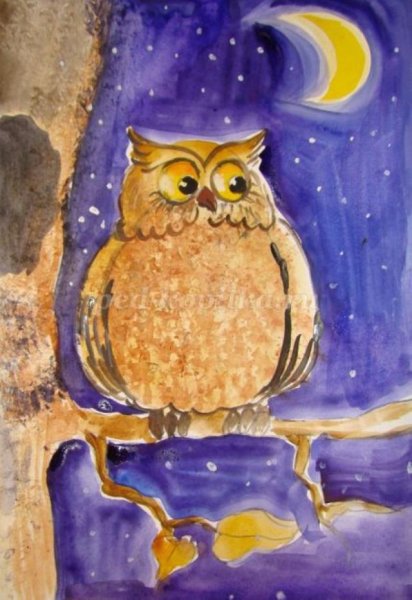 Сова рисунок для детей