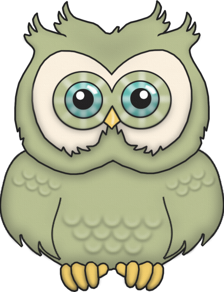 Оранжевая Сова