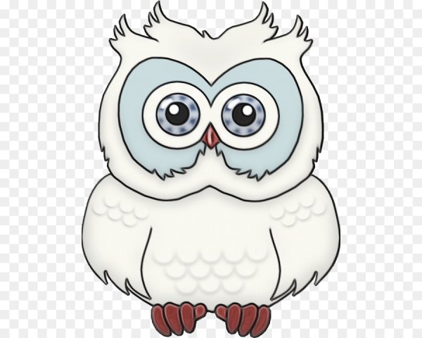 Раскраска Сова на ветке для детей