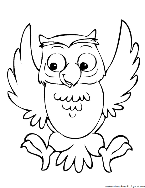 Разноцветная Сова