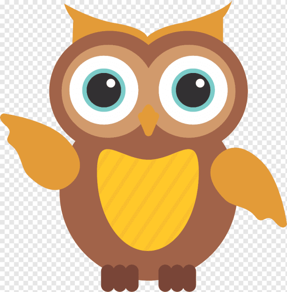 Сова раскраска для детей