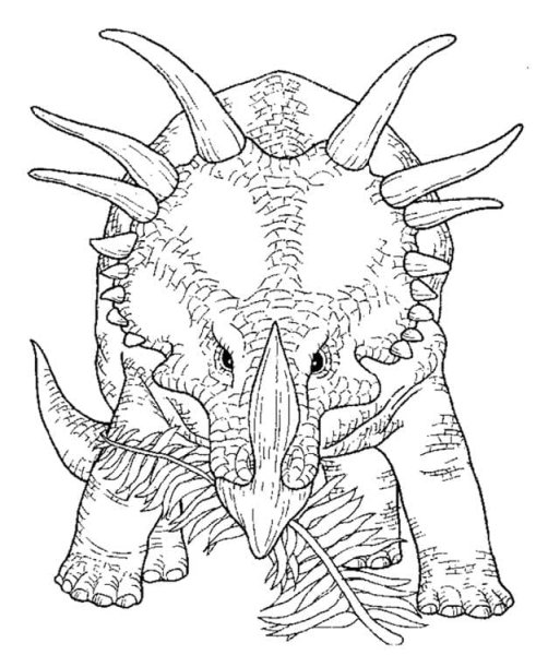 Трицератопс раскраска