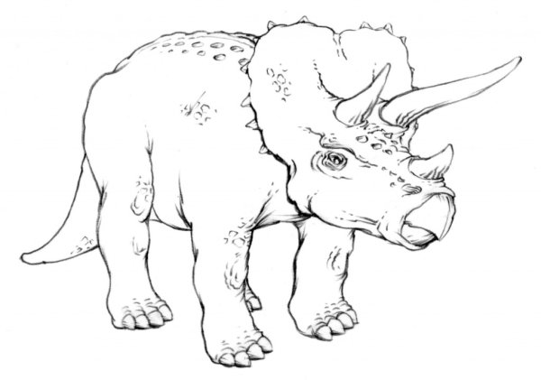 Динозавры раскраска тритерапторс