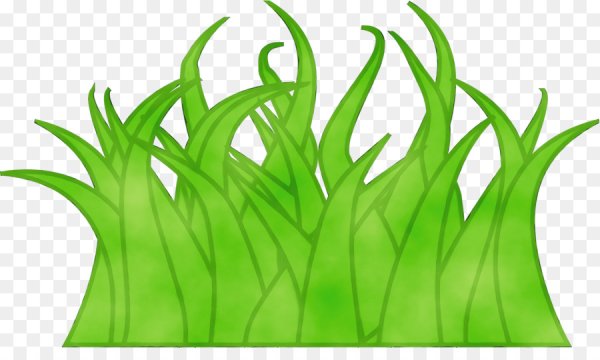 Трава для детского сада