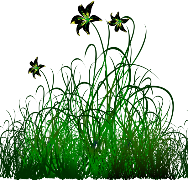 Трава рисованная