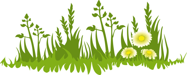 Кустики травки