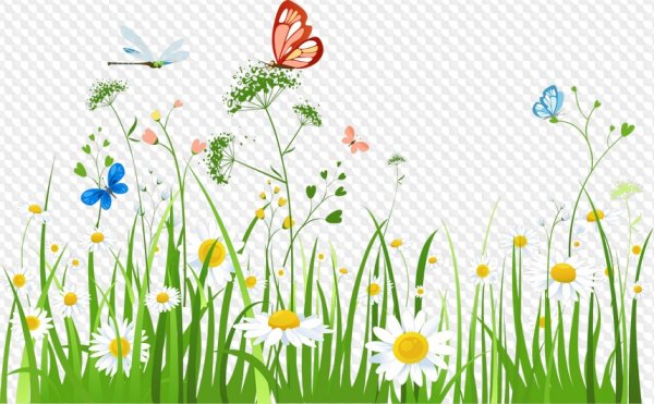 Луг на белом фоне