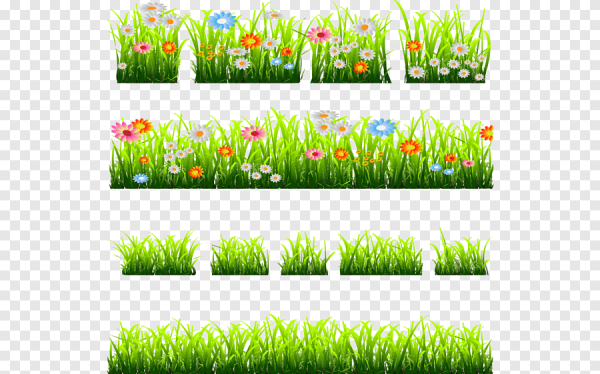 Кусты трава вектор