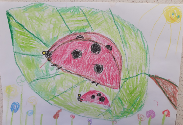 Рисование на тему Божья коровка