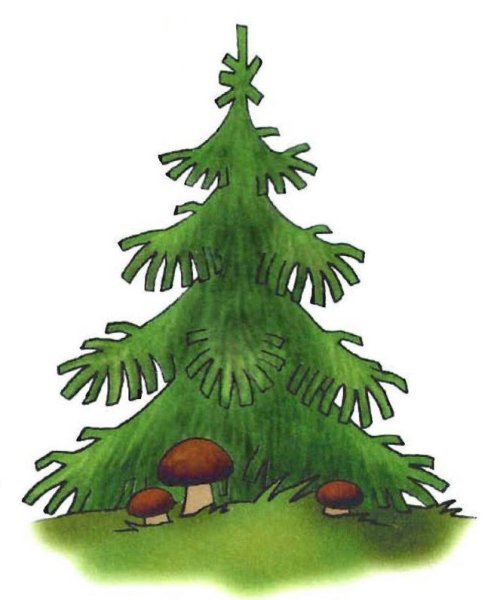 Елочка зеленая