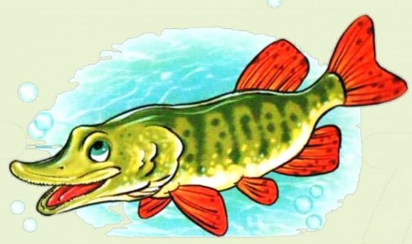 Щука для детей