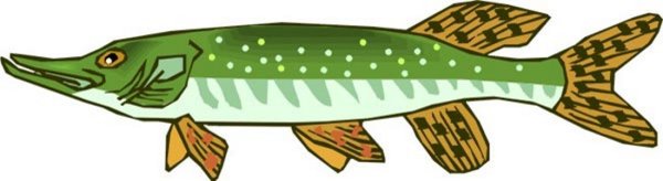Нарисовать щуку
