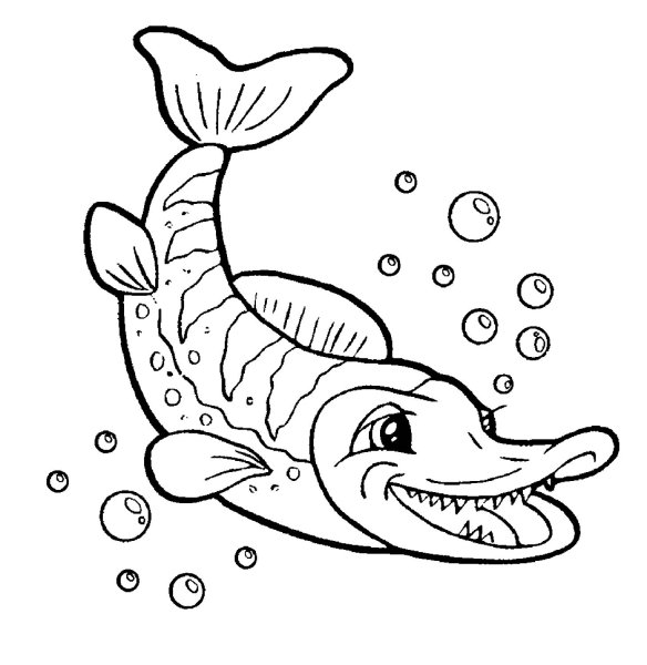 Щука раскраска для детей