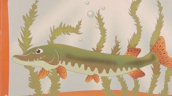 Щука для детей