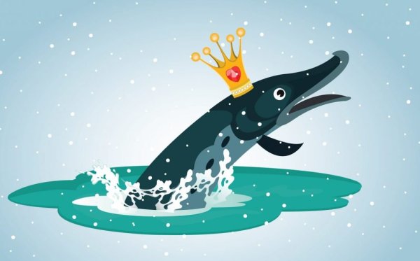 Щука гуашью