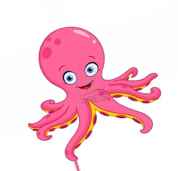 Цветные Осьминожки
