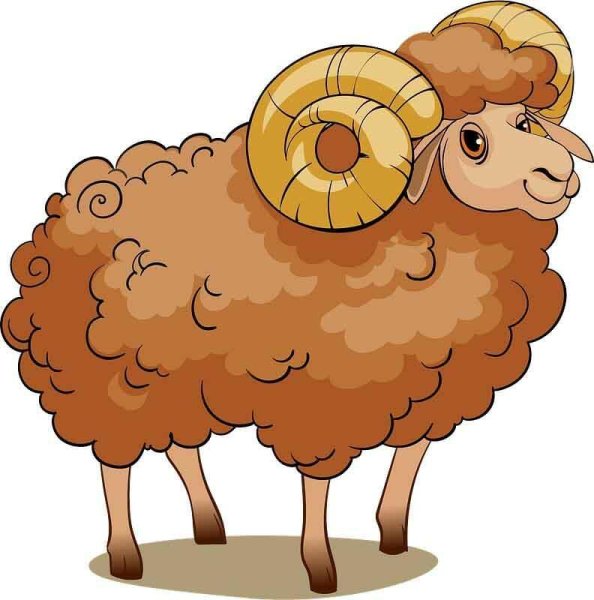Овечка мультяшная