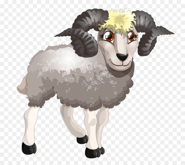 Овечка раскраска для детей