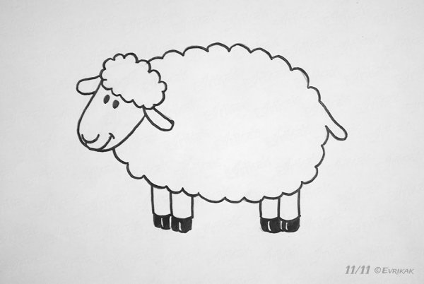 Овца раскраска