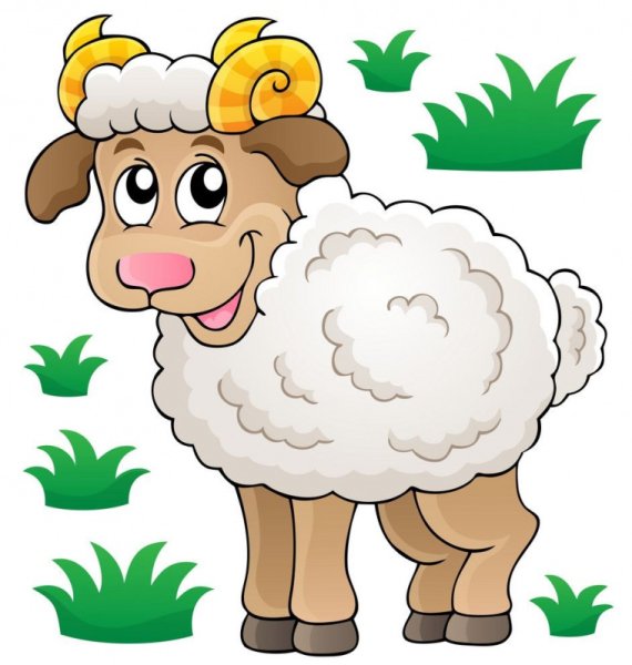 Овечка иллюстрация