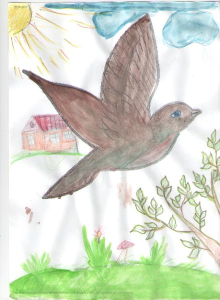 Жаворонок раскраска для детей