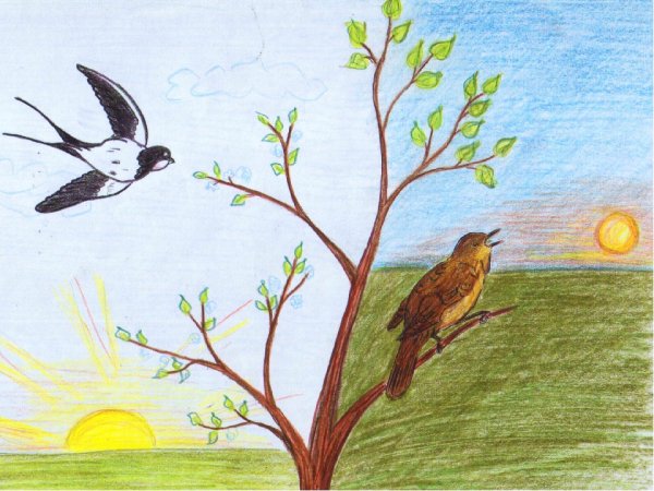 Рисование жаворонка