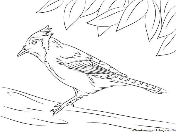 Детские рисунки жаворонка