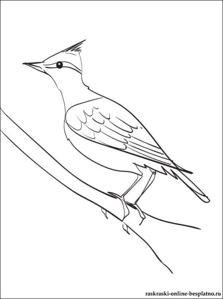 Рисование жаворонка