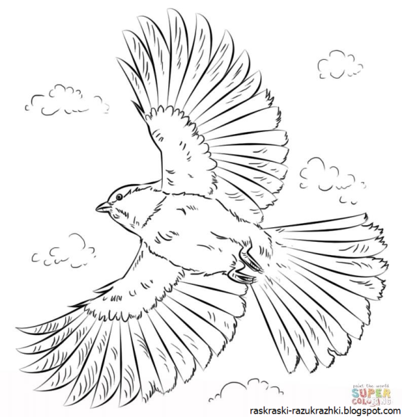 Жаворонок для раскрашивания