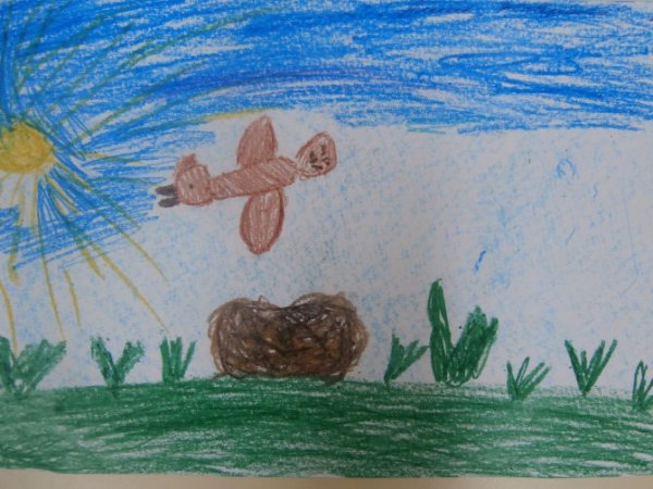 Жаворонок рисунок детский