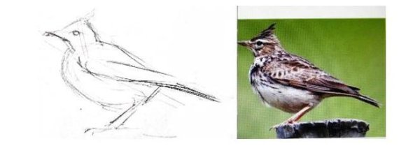 Романс Глинки Жаворонок рисунок