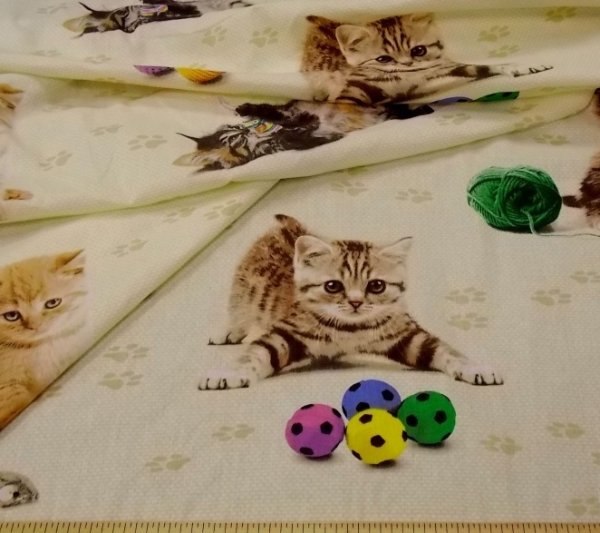 Бязь котята