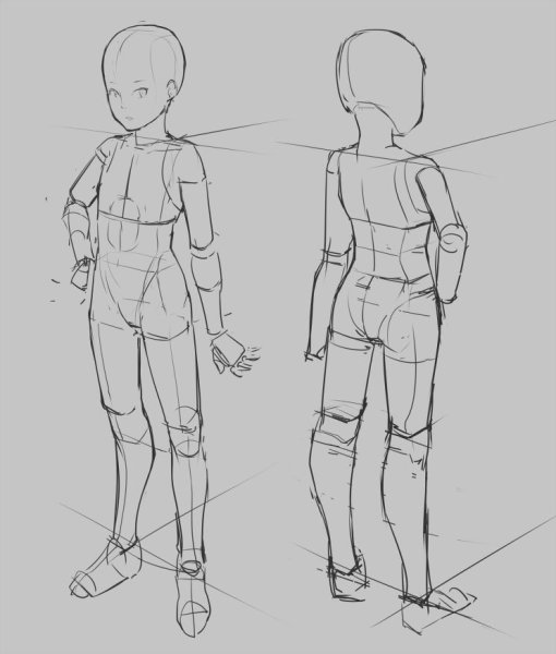 Анатомия подростка для рисования