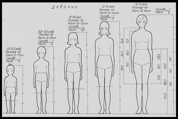Пропорции человека в разном возрасте
