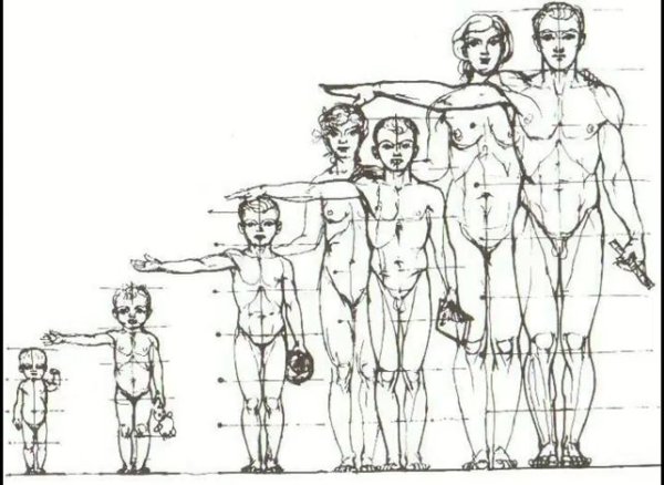 Пропорции тела ребенка для рисования