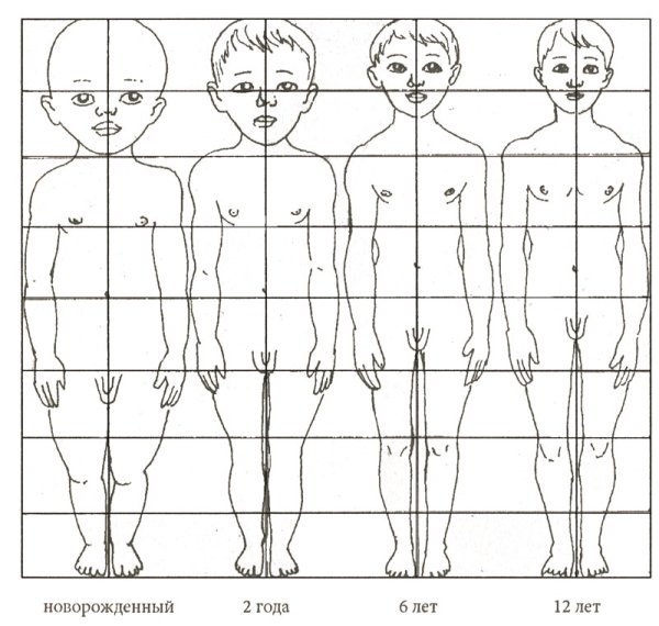 Пропорции тела у ребенка до года норма