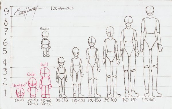 Пропорции тела человека аниме