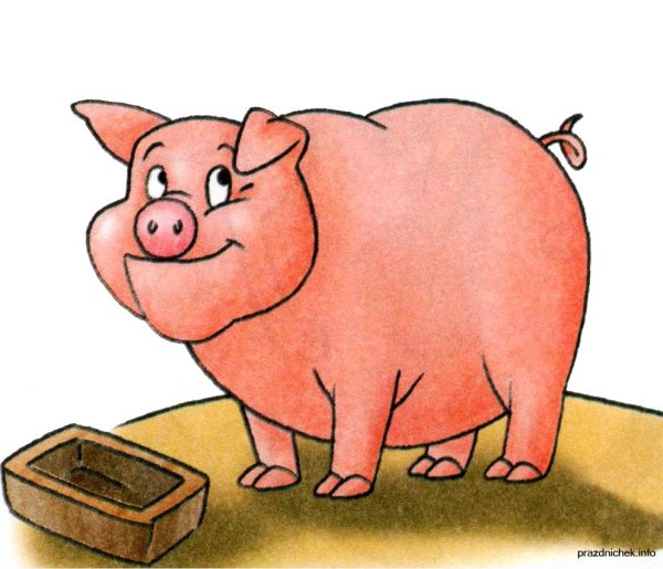 Свинья для детей