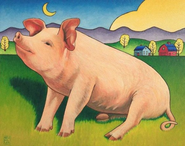 Свинья картина