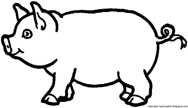Поросенок раскраска для детей