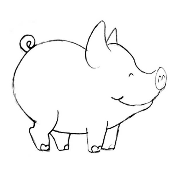 Поросенок рисунок карандашом