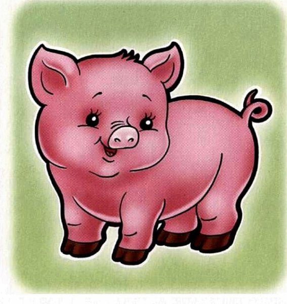 В детском саду - поросенок!