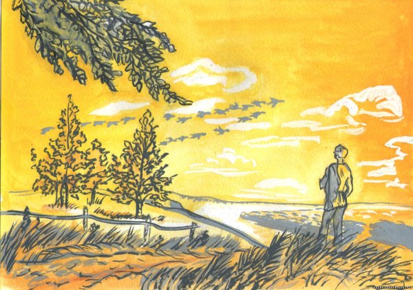 Роща Золотая Есенин иллюстраций