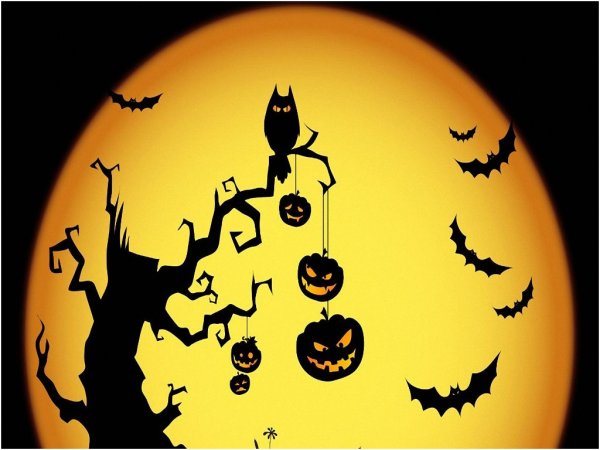 Тыква разукрашка Хэллоуин